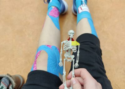mobility-mini-skelett-vorschau